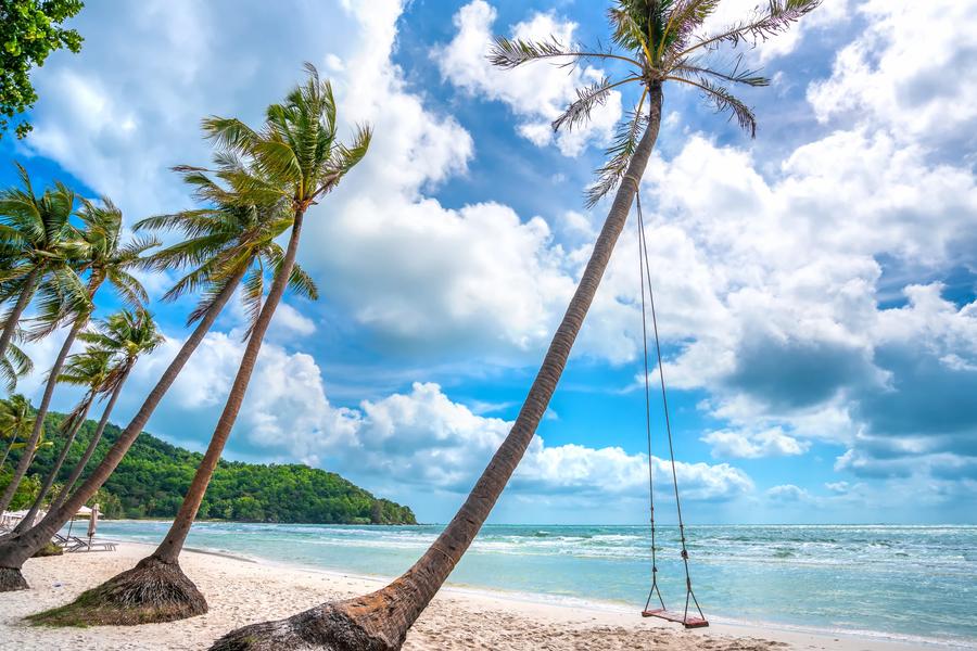 Coconut palms, basket boats, and lots of coffee — we’ve got all the best places to dig into beach life along the Vietnam coast