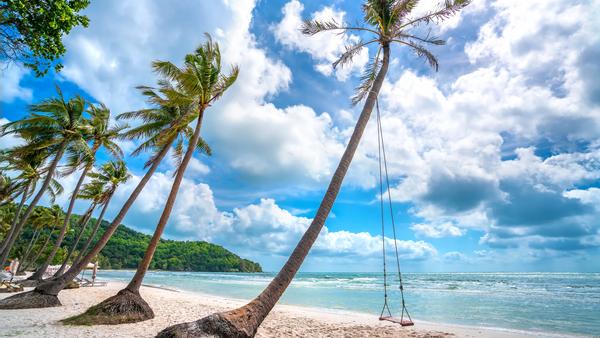 Coconut palms, basket boats, and lots of coffee — we’ve got all the best places to dig into beach life along the Vietnam coast