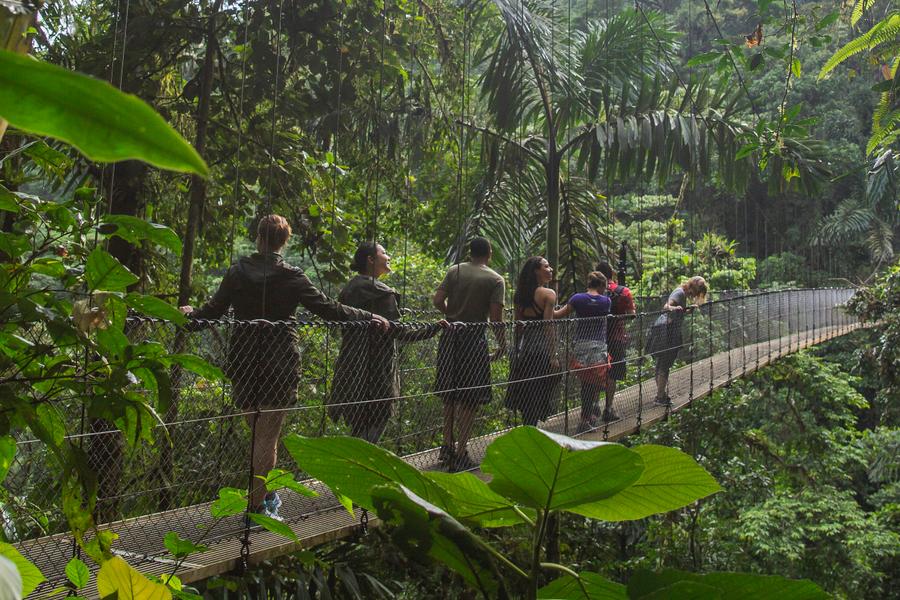 From toucans to quetzals, we've gathered our favourite snaps and tips to finding feathered friends