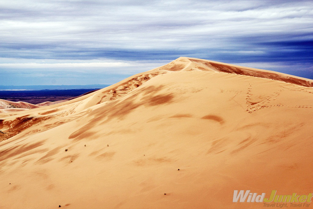 Khongoriin Els sand dunes in the Western Gobi.