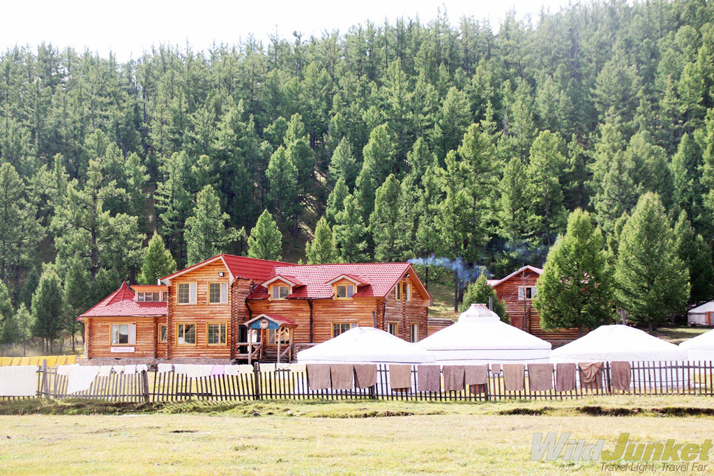 The pine forest surrounding Tsenkher.