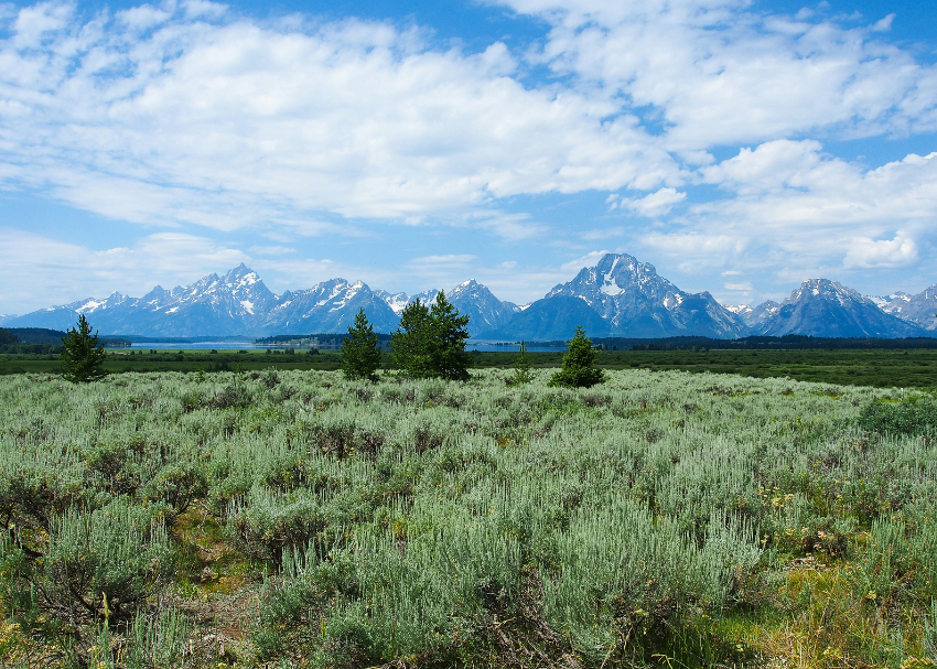 national park pic 3